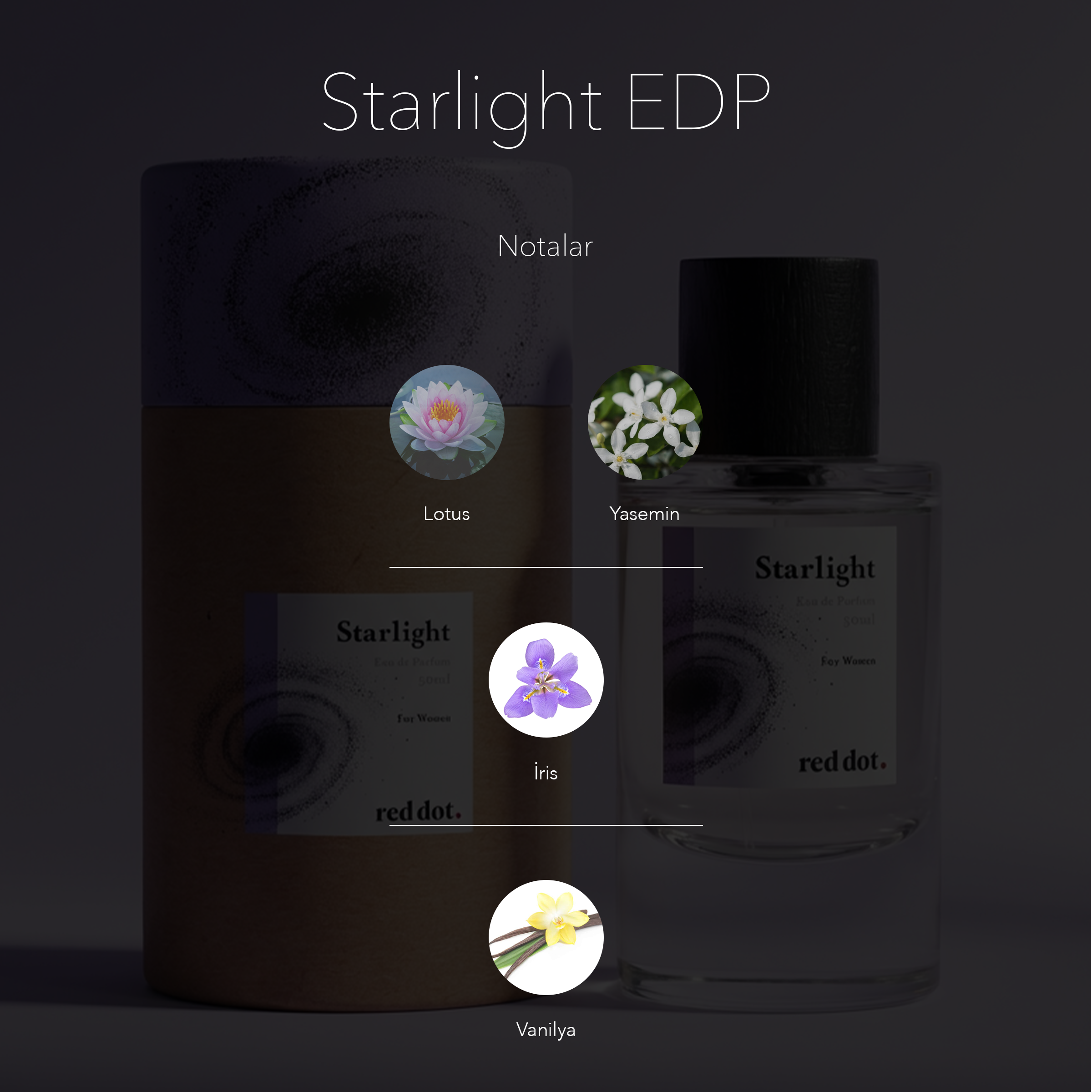 Starlight EDP - 50 ml. - Kadın