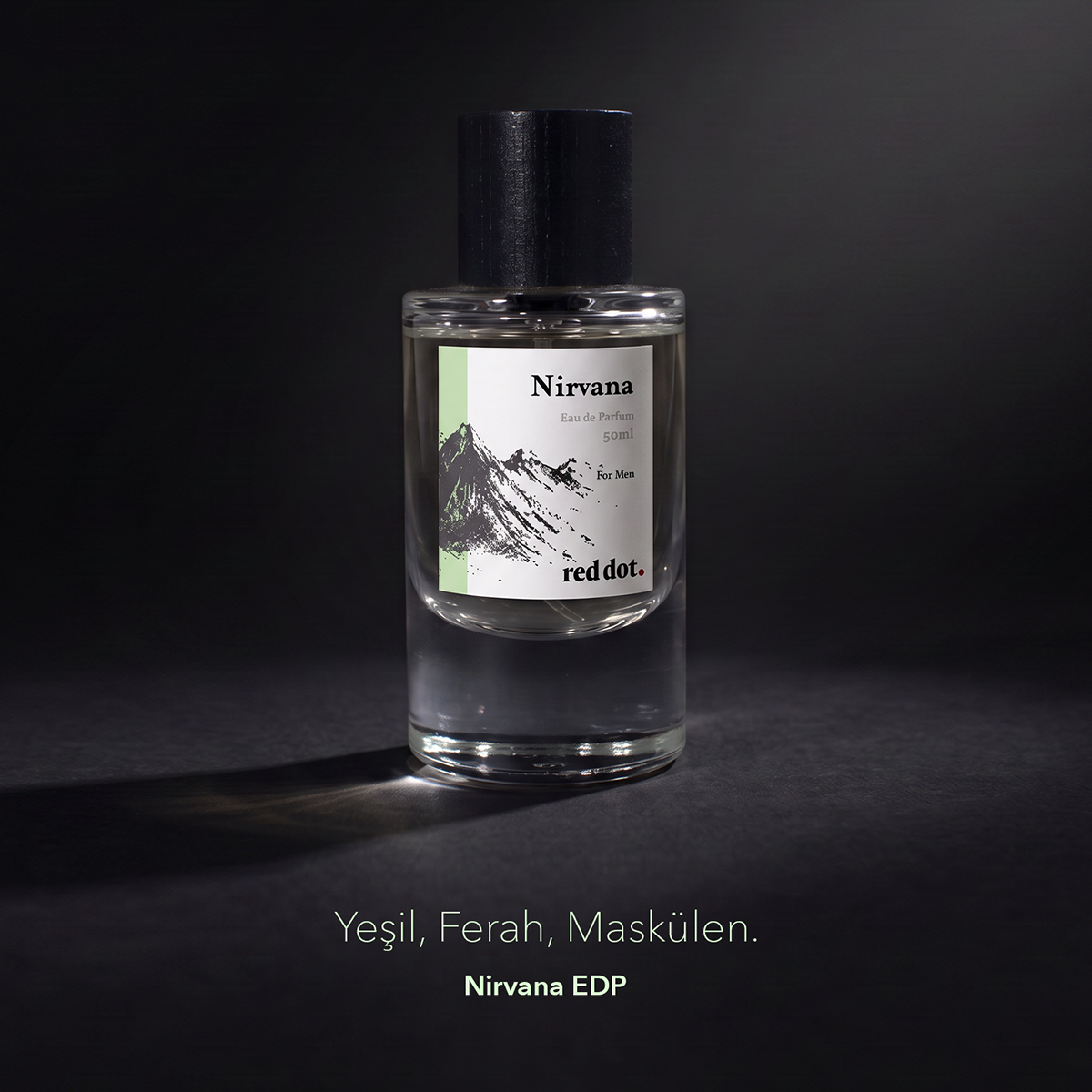 Nirvana EDP - 50 ml. - Erkek