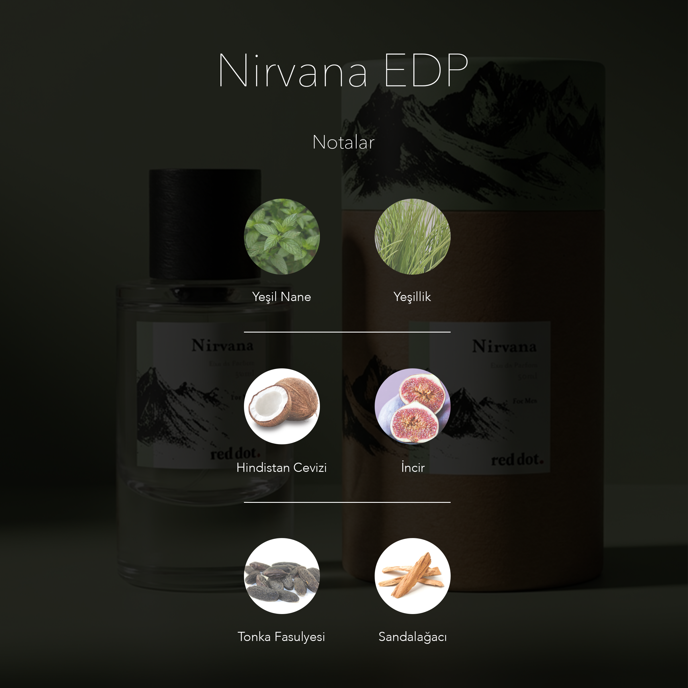 Nirvana EDP - 50 ml. - Erkek