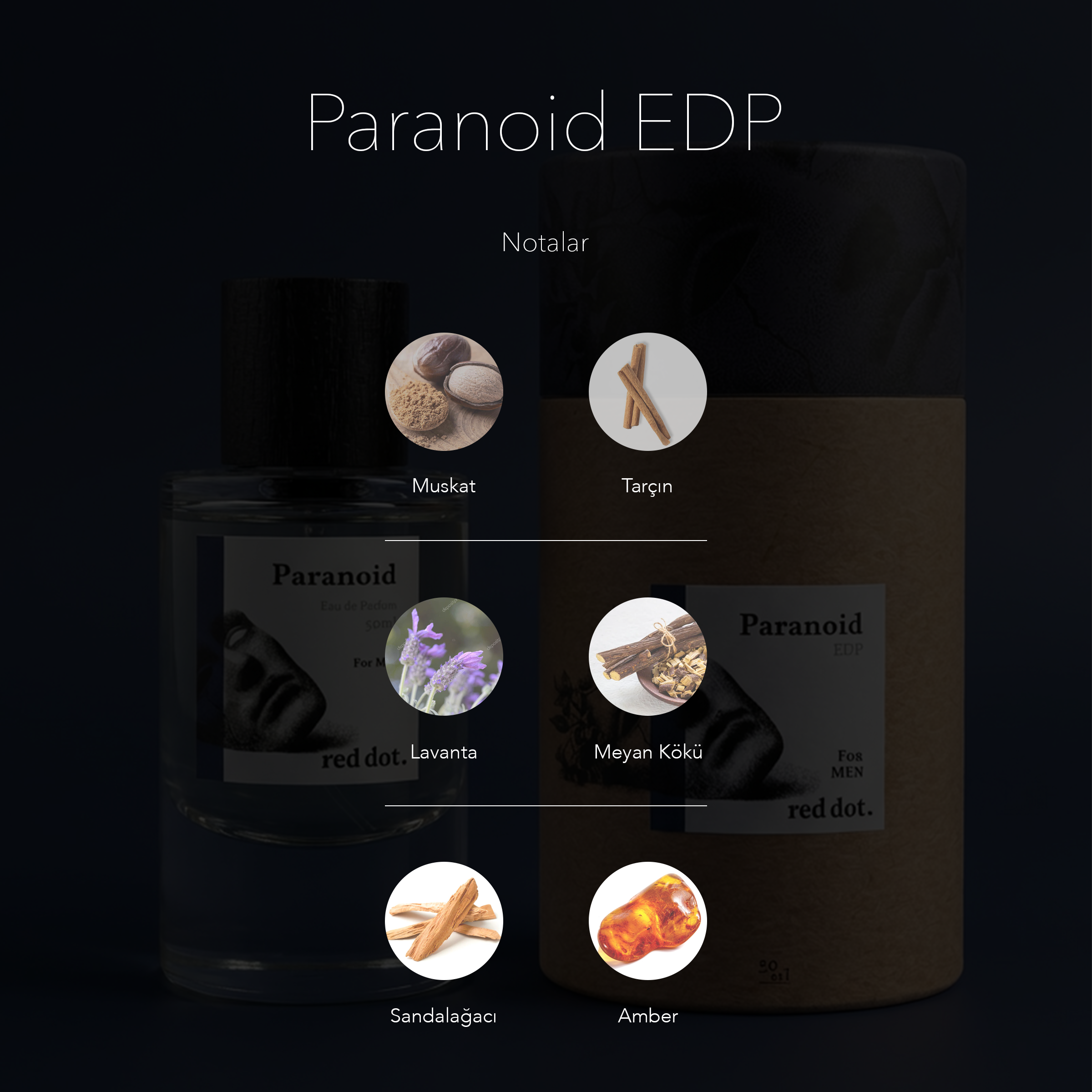 Paranoid EDP - 50 ml. - Erkek